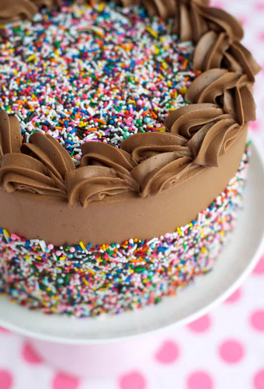 6-Layer Chocolate Sprinkle Cake + a Cookbook Announcement!