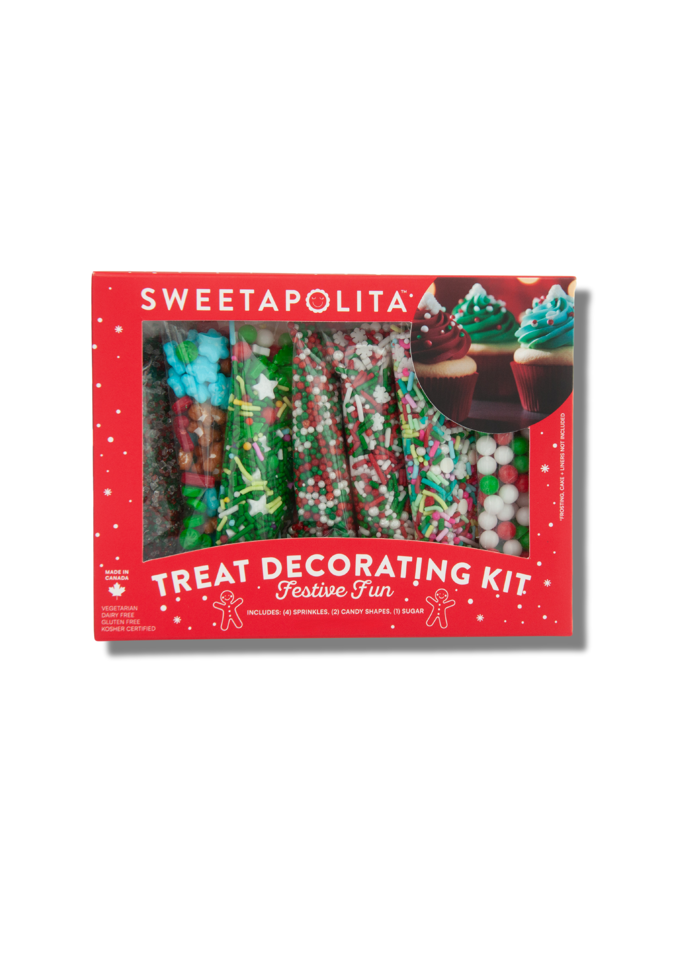 Festive Fun Decorating Kit - US