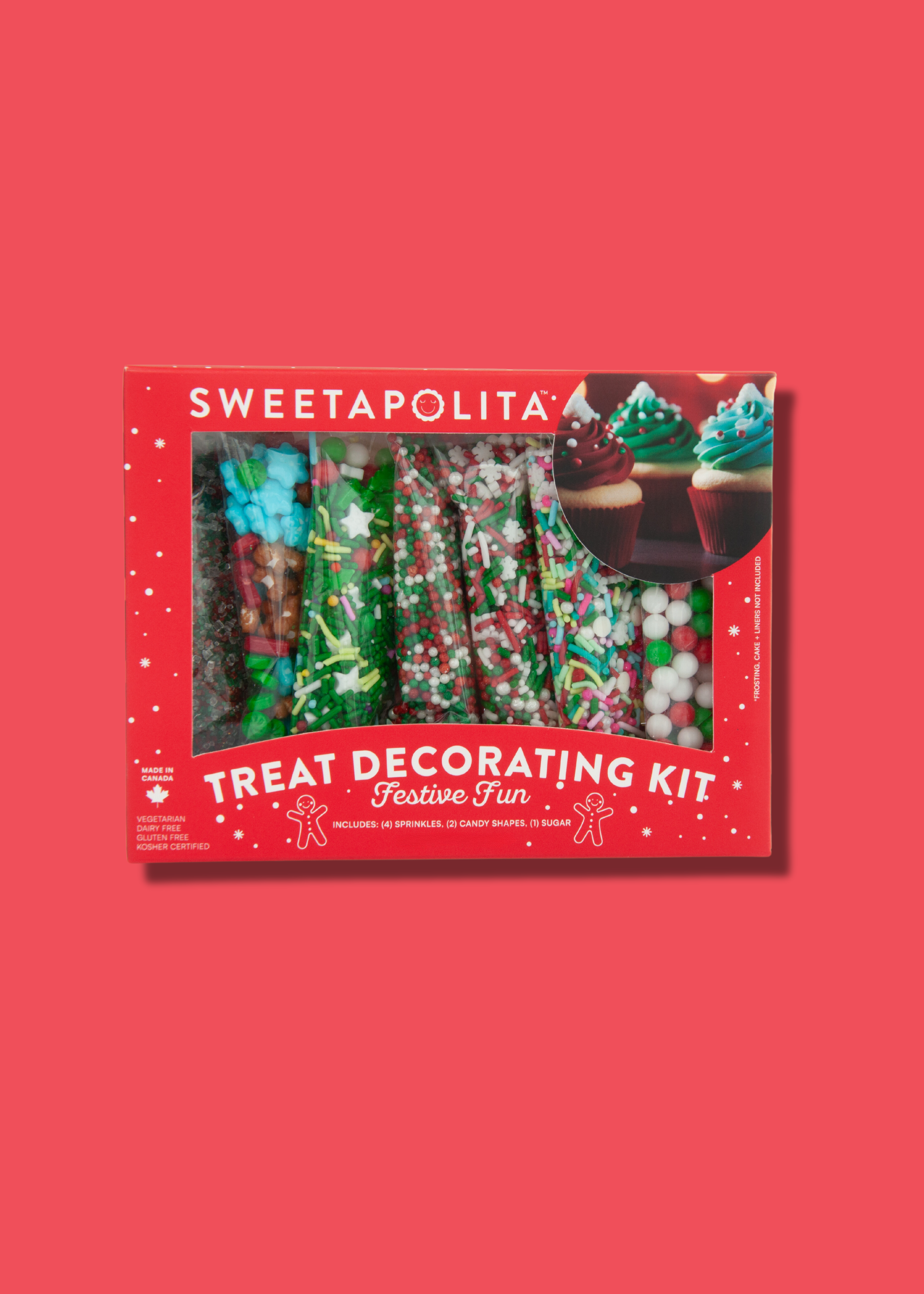 Festive Fun Decorating Kit - US