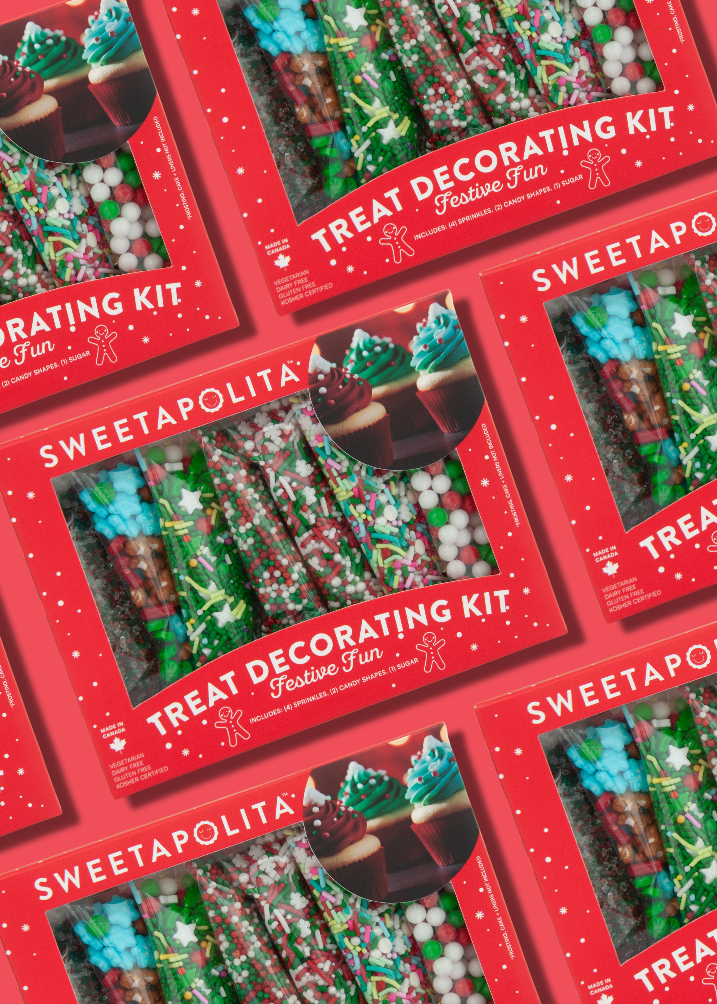 Festive Fun Decorating Kit - US