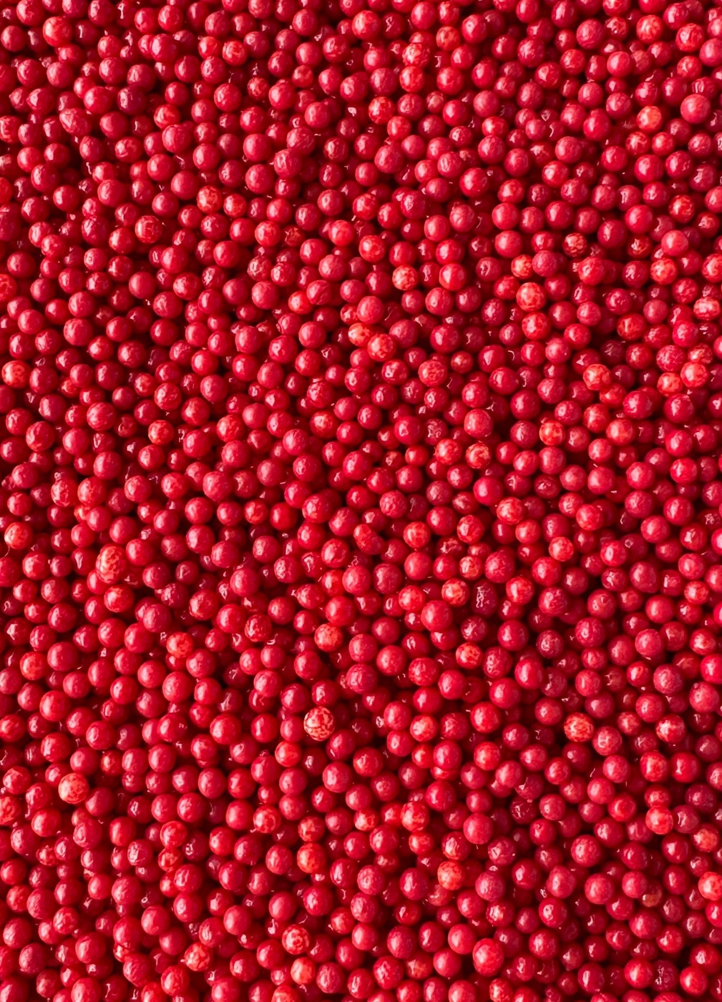 Red Nonpareils - CA - Sweetapolita